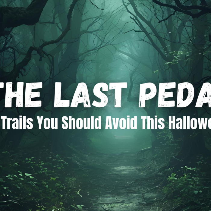 atmospheric shot of a bike trail winding deep into a dense, dark forest at dusk. The dim light and mist create a terrifying, spooky, or haunted atmosphere suitable for Halloween