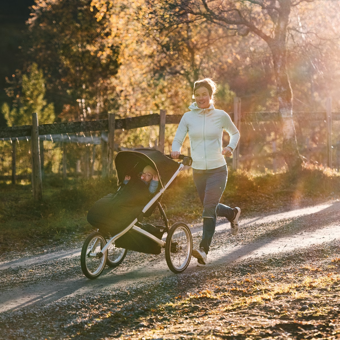 Thule Glide 2 all-terrain and Jogging Bicycle Strollers