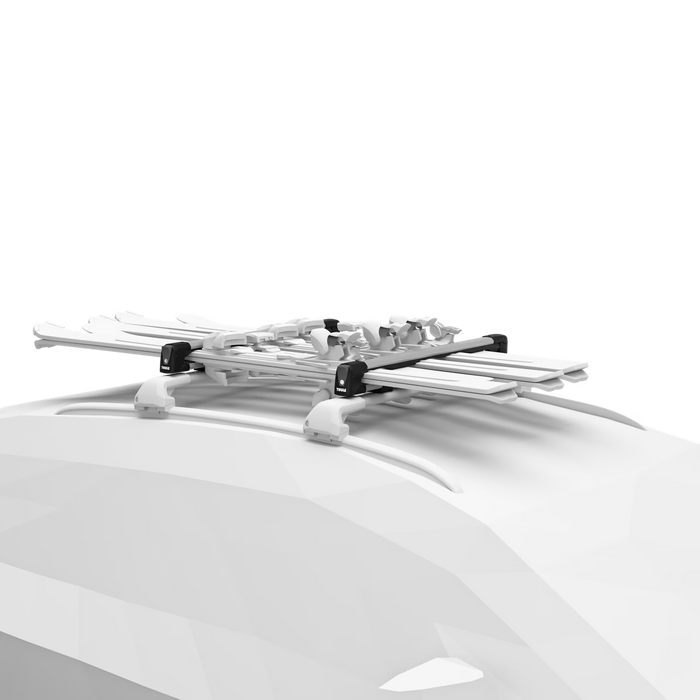Thule SnowPack L Car Racks