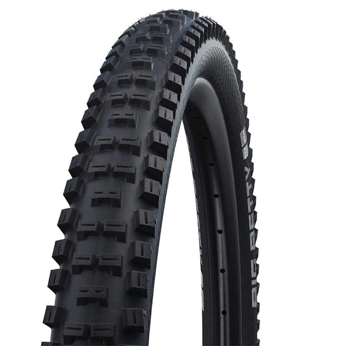 Schwalbe Big Betty Tire - 29 x 2.6 Tubeless Folding Black Evolution Line Addix Soft Super Gravity