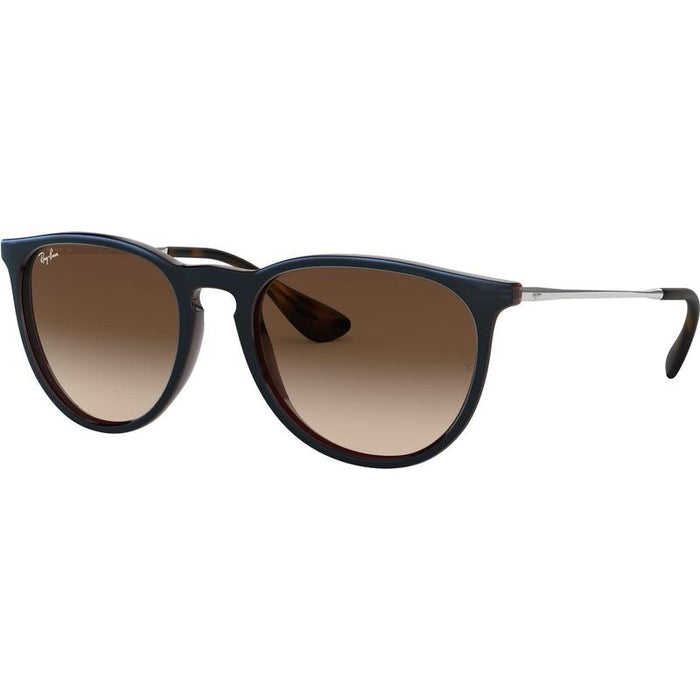 Rayban Erika Classic Lifestyle Sunglasses