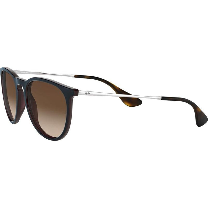 Rayban Erika Classic Lifestyle Sunglasses