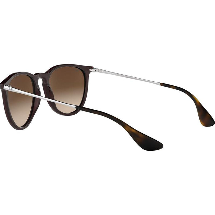 Rayban Erika Classic Lifestyle Sunglasses