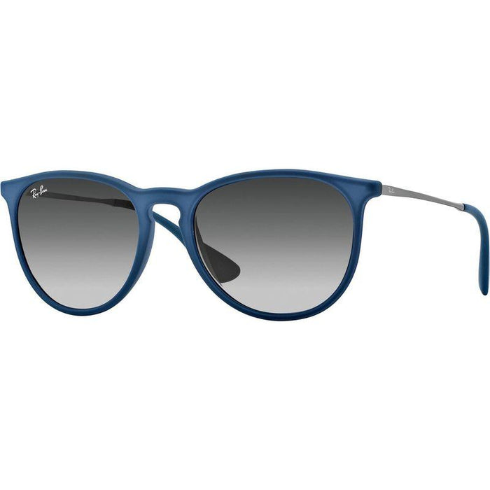 Rayban Erika Classic Lifestyle Sunglasses