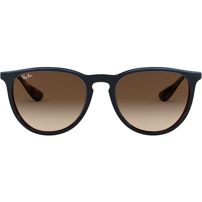 Rayban Erika Classic Lifestyle Sunglasses