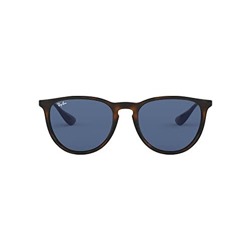 Rayban Erika Classic Lifestyle Sunglasses