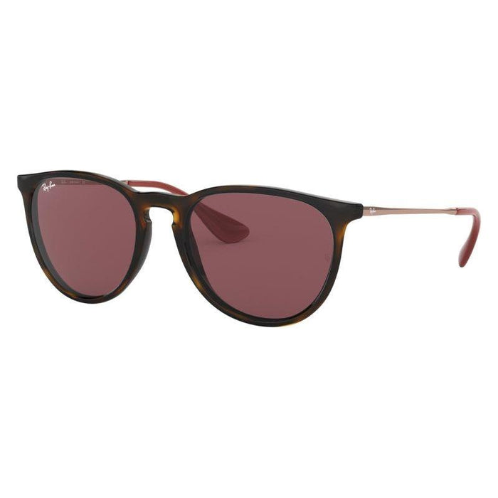 Rayban Erika Classic Lifestyle Sunglasses