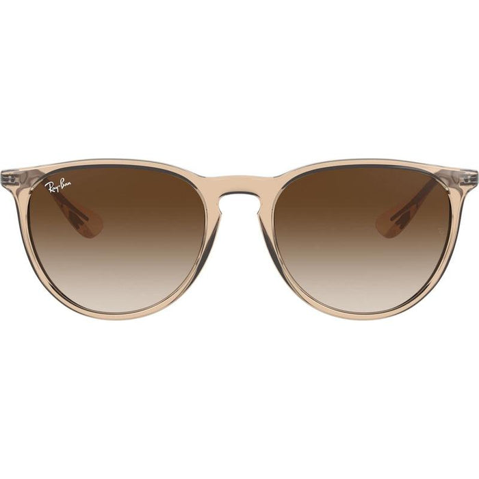 Rayban Erika Classic Lifestyle Sunglasses