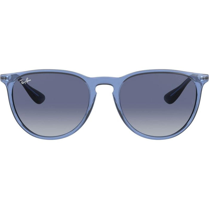 Rayban Erika Classic Lifestyle Sunglasses