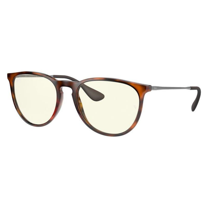 Rayban Erika Classic Lifestyle Sunglasses