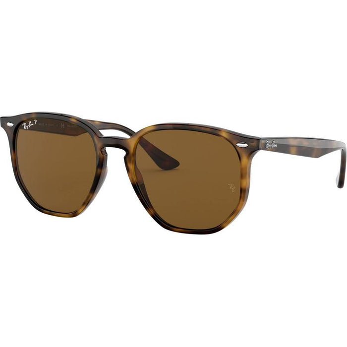 Rayban RB4306 Lifestyle Sunglasses