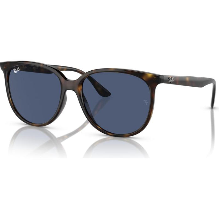 Rayban 0RB4378 Lifestyle Sunglasses