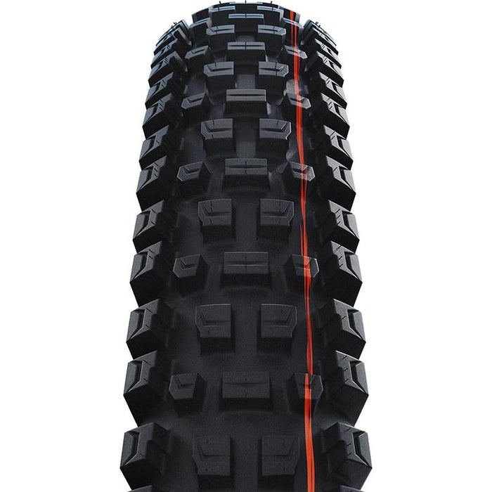 Schwalbe Albert Bicycle Tires