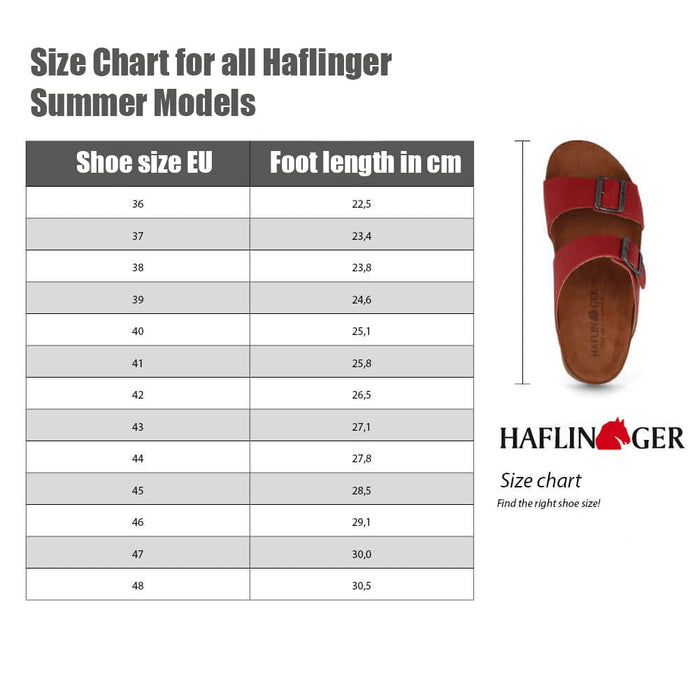 Haflinger Cora Lime 37