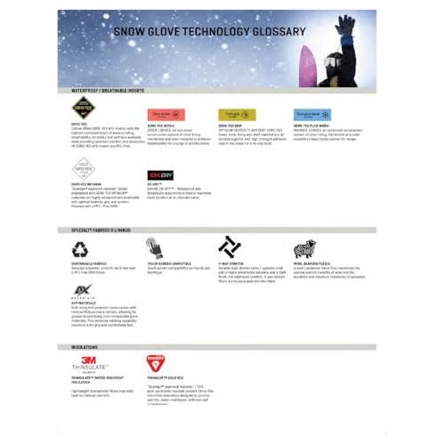 Dakine Blazer Snow Gloves