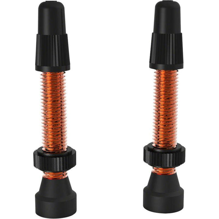 WTB TCS Tubeless Bicycle Tire Valves