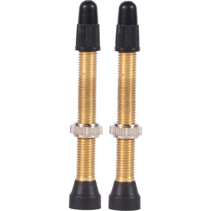 WTB TCS Tubeless Bicycle Tire Valves