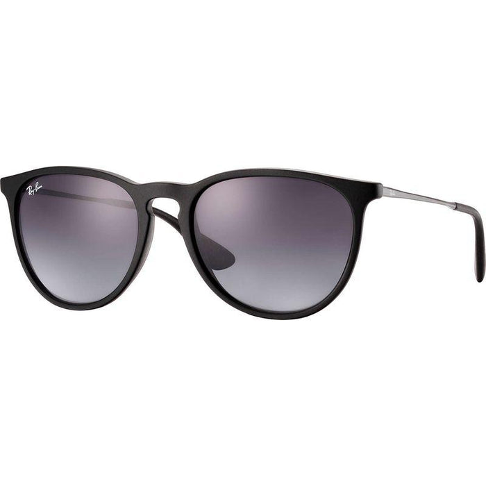 Rayban Erika Classic Lifestyle Sunglasses