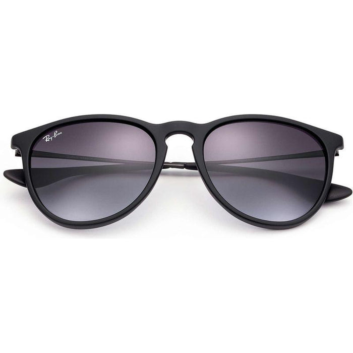 Rayban Erika Classic Lifestyle Sunglasses
