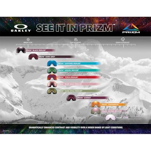 Oakley Line Miner L Snow Goggles