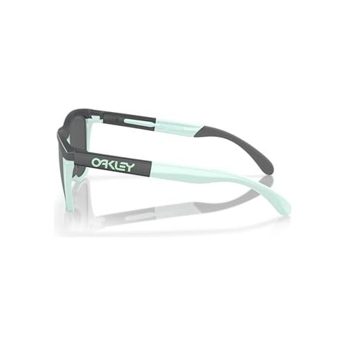 Oakley Frogskins Range Lifestyle Sunglasses