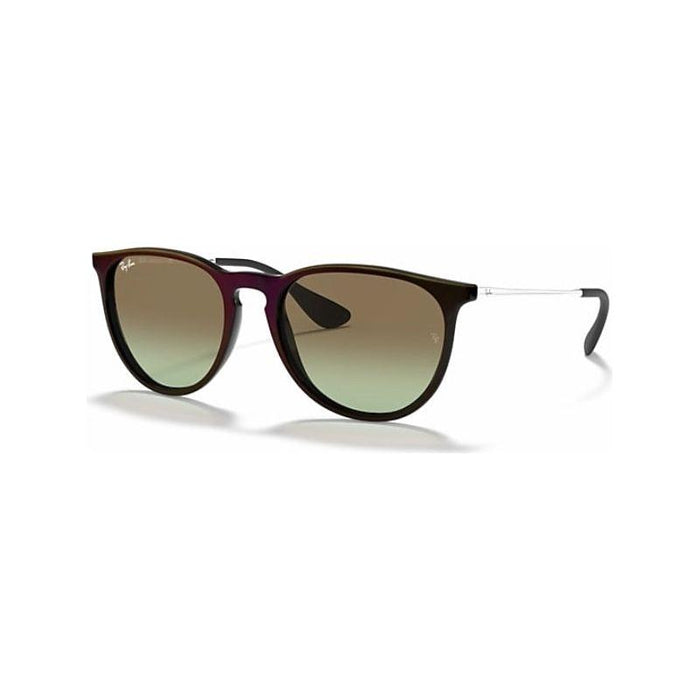 Rayban Erika Classic Lifestyle Sunglasses