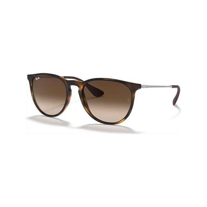 Rayban Erika Classic Lifestyle Sunglasses