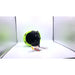 POC POCito Obex MIPS Snow Helmets - Open (Without Box)