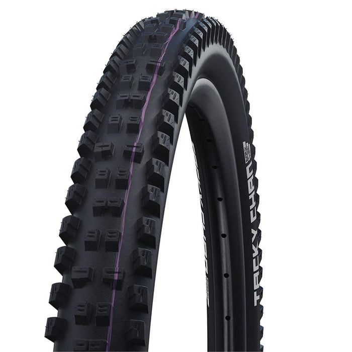 Schwalbe Tacky Chan Bicycle Tires