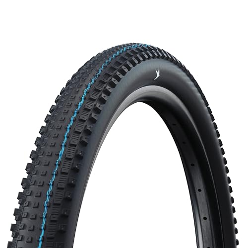 Schwalbe Rick XC Pro Bicycle Tires