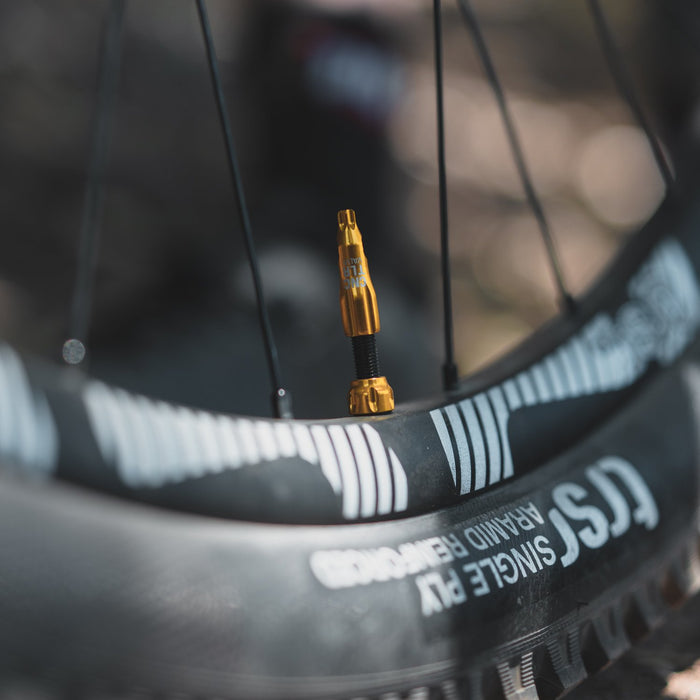 Lezyne Tlr Tubeless Valve Presta 60Mm Black