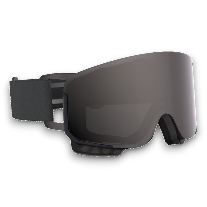 POC Nexal Snow Goggles