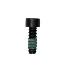 FAZUA Ride 60 Drive Unit Mount Screw
