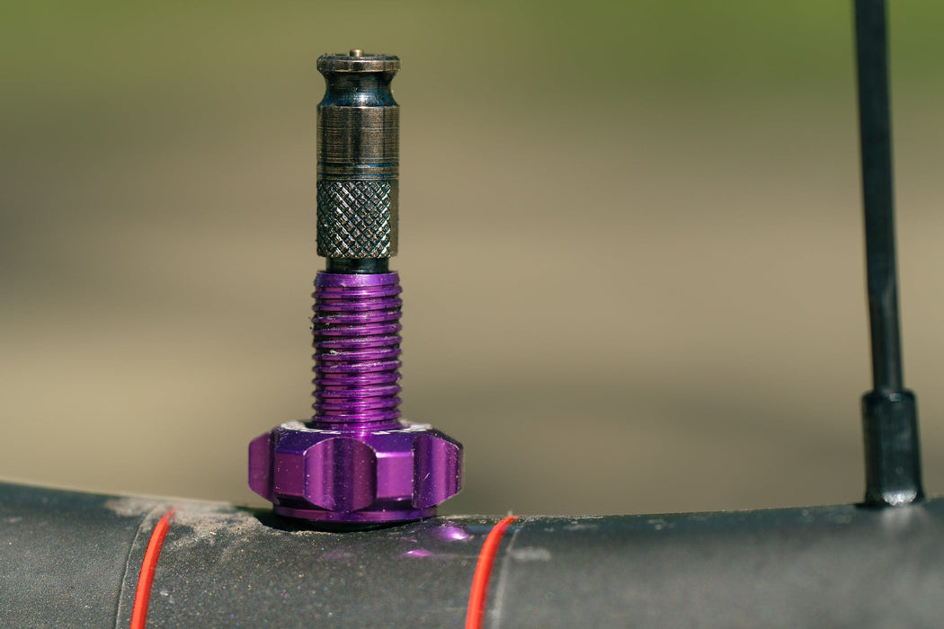 Wolf Tooth Tubeless Valve Stem Kit for Clik Bicycle Tire Valves