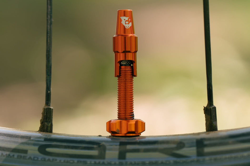 Wolf Tooth Tubeless Valve Stem Kit for Clik Bicycle Tire Valves