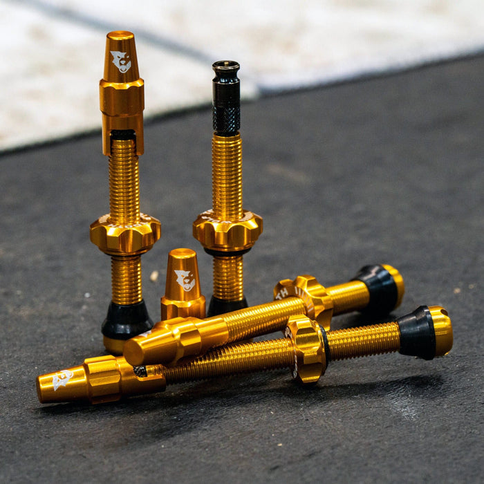Wolf Tooth Tubeless Valve Stem Kit for Clik Bicycle Tire Valves