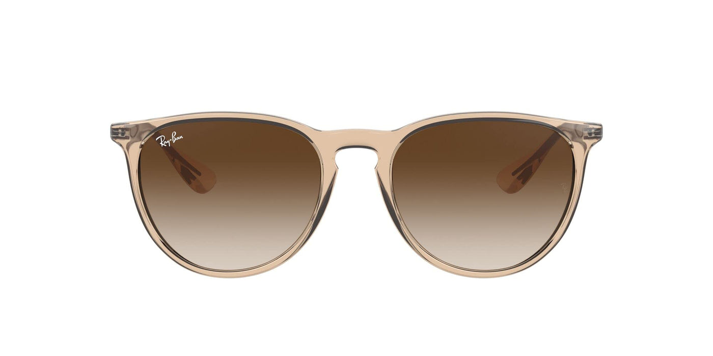 Rayban Erika  54