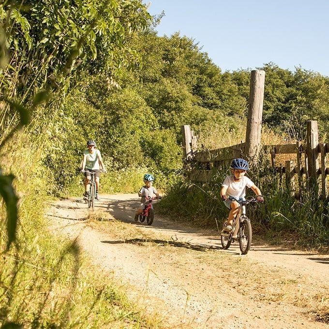 Giro Bravo Jr Bicycle Gloves