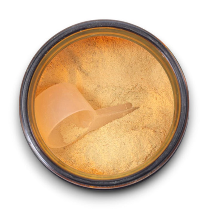 1st Endurance Prerace 3.0 Bicycle Nutrition Drink Mixes