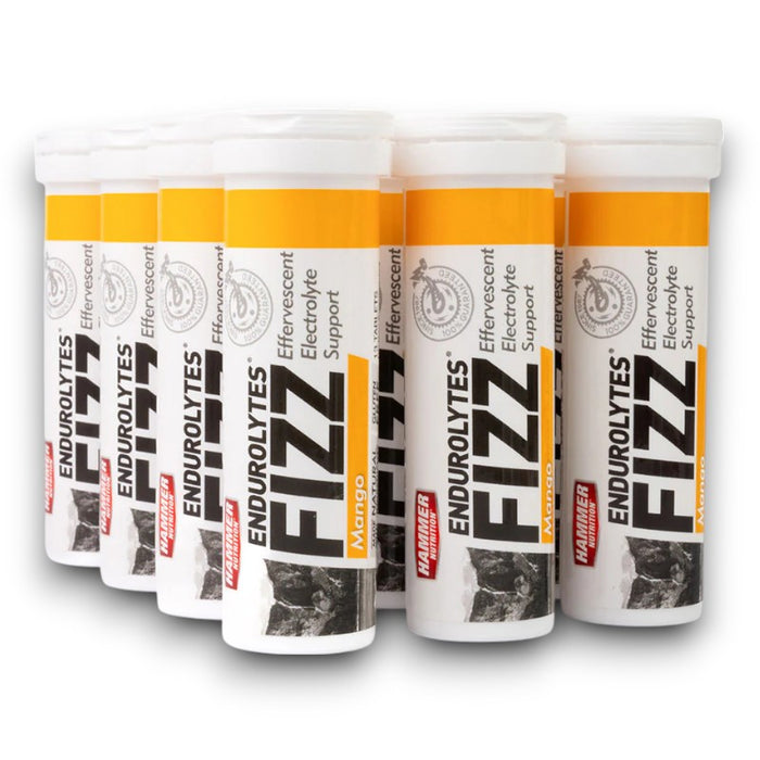 Hammer Nutrition Endurolytes Fizz Bicycle Nutrition Capsules & Pills