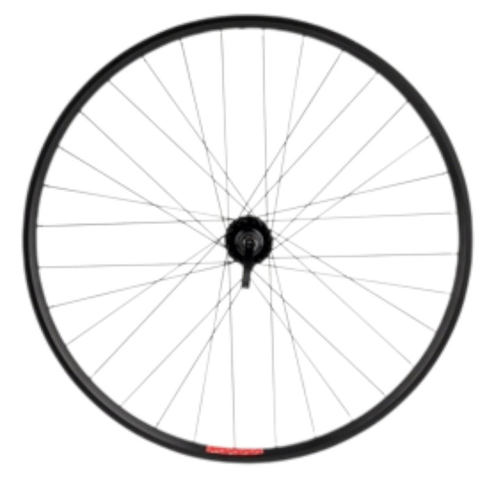 Sta-Tru Double Wall Front Wheel - 29 QR 9 x 100mm Disc Brake Black 25i