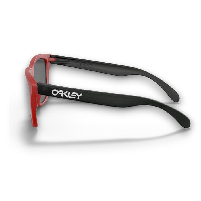 Oakley Frogskins Lifestyle Sunglasses