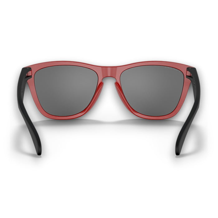 Oakley Frogskins Lifestyle Sunglasses