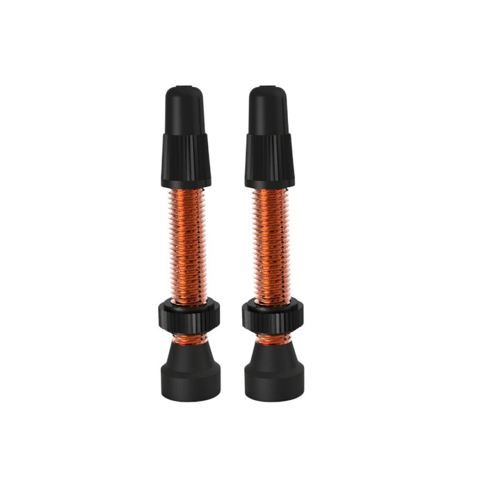 WTB TCS Tubeless Bicycle Tire Valves