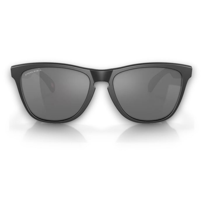 Oakley Frogskins Lifestyle Sunglasses