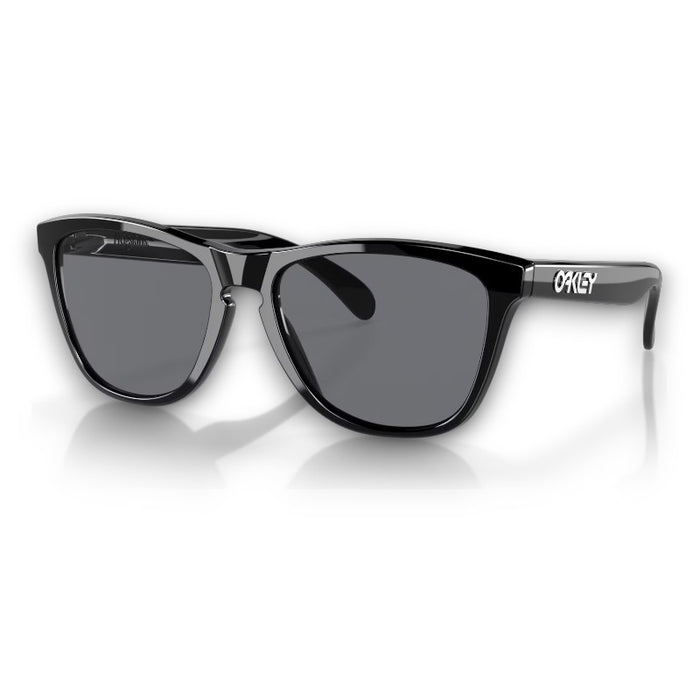Oakley Frogskins Lifestyle Sunglasses