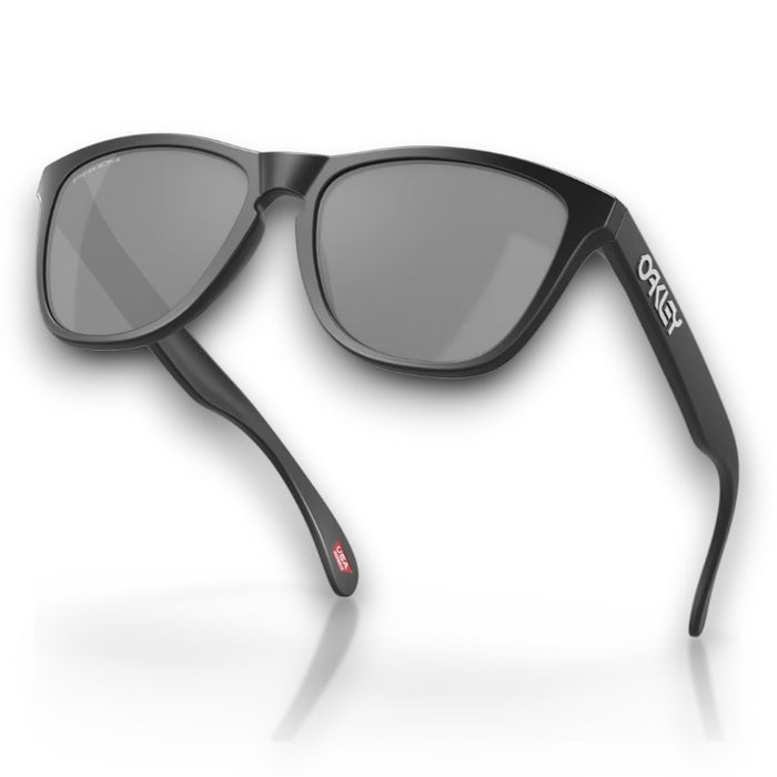 Oakley Frogskins Lifestyle Sunglasses