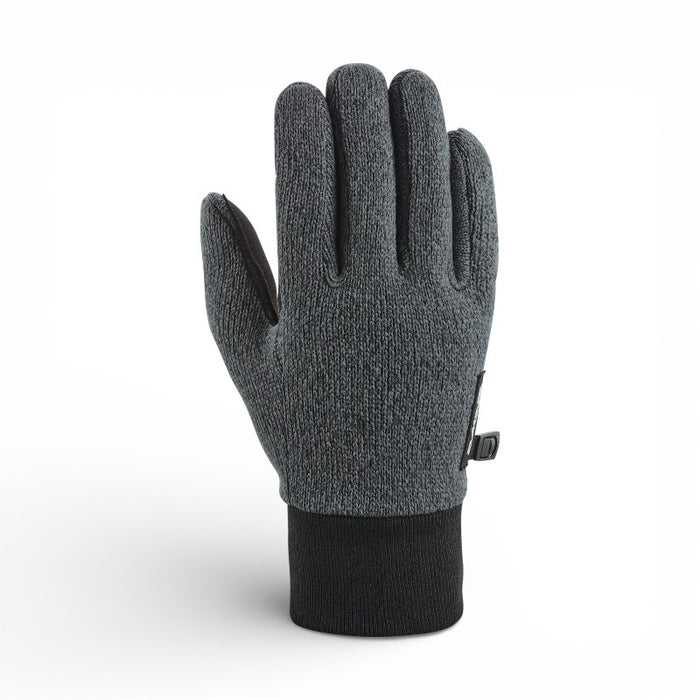 Dakine Apollo Snow Gloves
