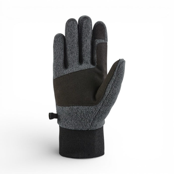 Dakine Apollo Snow Gloves