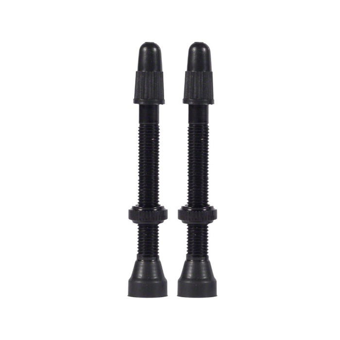 WTB TCS Tubeless Bicycle Tire Valves